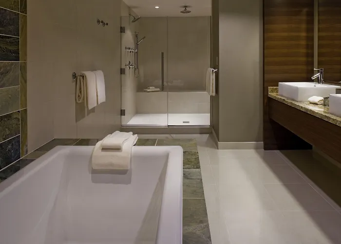 Hyatt Regency O'hare Chicago Hotel 4*