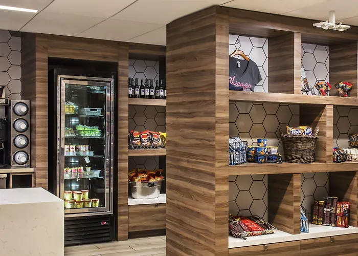 Hyatt Regency O'hare Chicago Hotel 4*