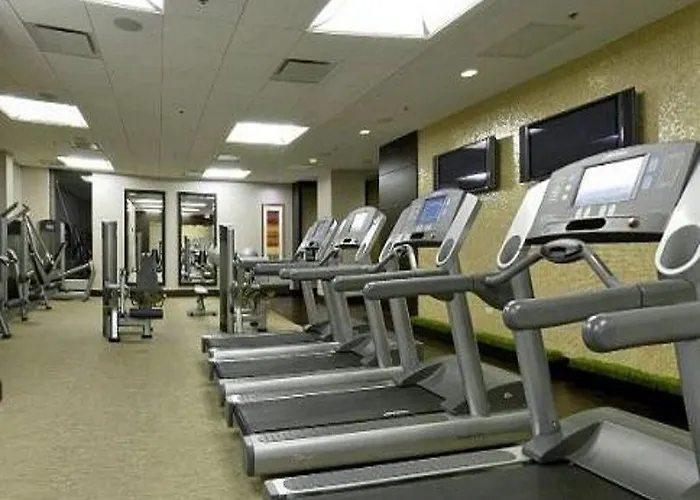 Hyatt Regency O'hare Chicago Hotel 4*